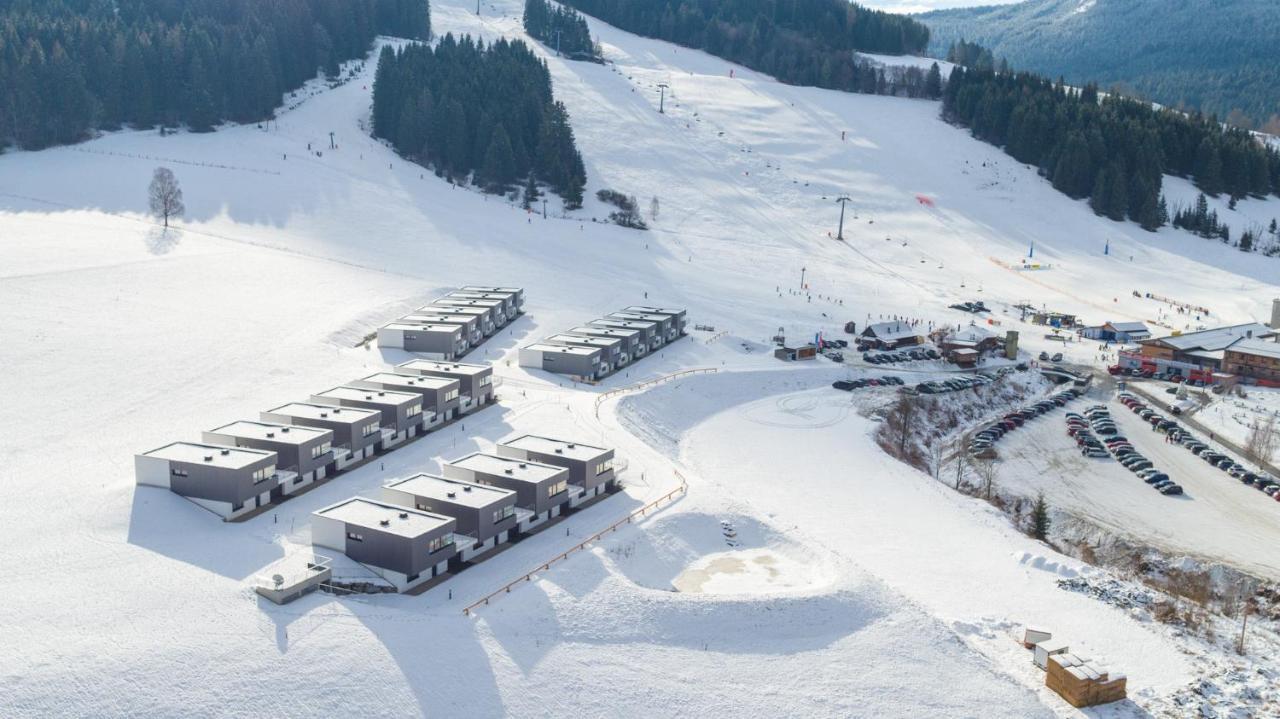 Naturpark Chalets Lambrecht By Alps Resorts Sankt Lambrecht Εξωτερικό φωτογραφία